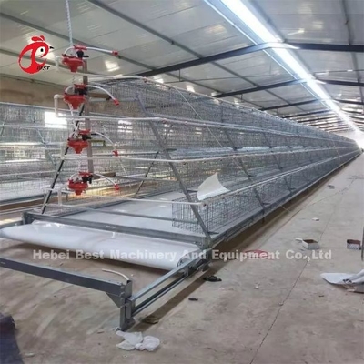 Tipo H Automatico Tipo H Broiler Chicken Cage Video Installazione Ispezione in uscita Fornite Rose