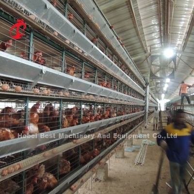 Sistema di gabbia a strato semiautomatico da 2,2 m x 2,4 m x 1,95 m