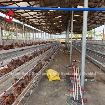 2.2m x 2.4m x 1.95m strato sistema di gabbia a batteria livello 4 160 Capacità di sabbia