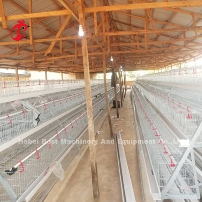 Sistema di gabbia a batteria semiautomatica di tipo A con carrello di alimentazione per strati di deposizione delle uova Ada
