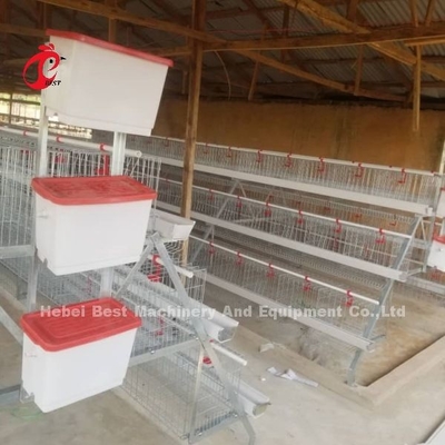 Sistema di gabbia a batteria semiautomatica di tipo A con carrello di alimentazione per strati di deposizione delle uova Ada