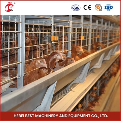 Sistema di gabbia galvanizzata importata, tramite alimentazione automatica