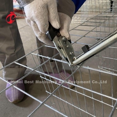 Cage per pollame di tipo A in acciaio galvanizzato personalizzato per il punto di posa della sabbia