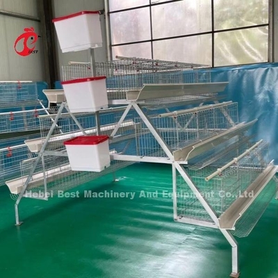 96-200 Uccelli Capacità Cage in Nigeria Strato bianco stella di acciaio galvanizzata a caldo