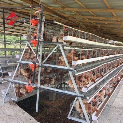 3 Tier 120 Birds And 4 Tier 160 Birds Layer Battery Cage System Per l'Uganda Tanzania Allevamento di pollame