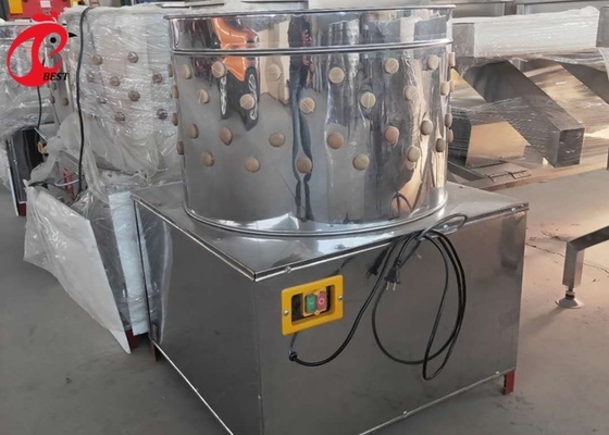 Uccelli automatici della macchina 180 di rimozione della piuma del pollo all'ora e 500 uccelli per Ada di ora