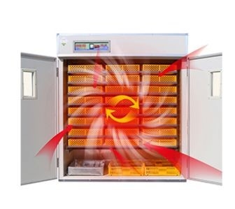 Uovo automatico industriale che cova la finestra di osservazione di Doppio strato dell'incubatrice 220v