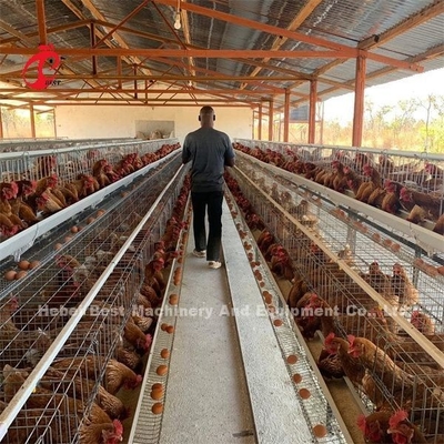 Tipo 3 pollo Emily del sistema A della gabbia di avicoltura della gabbia di strato dell'uovo di 4 Tires