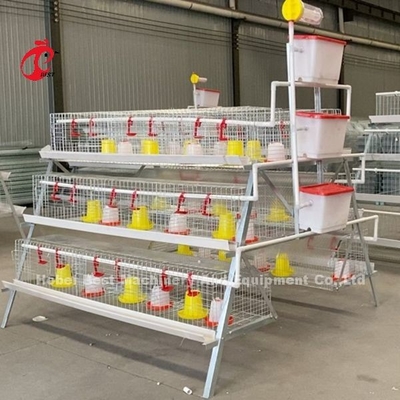 Tipo premio iride dell'azienda avicola A della gabbia di nidiata del pollo della batteria della gabbia del pollo della pollastra