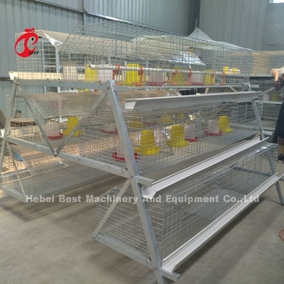 Tipo premio iride dell'azienda avicola A della gabbia di nidiata del pollo della batteria della gabbia del pollo della pollastra