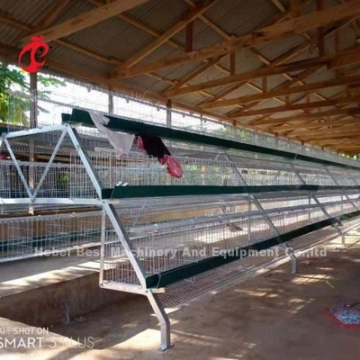 Sistema galvanizzato immerso caldo della gabbia in batteria di strato per l'acciaio Emily dell'azienda avicola Q235