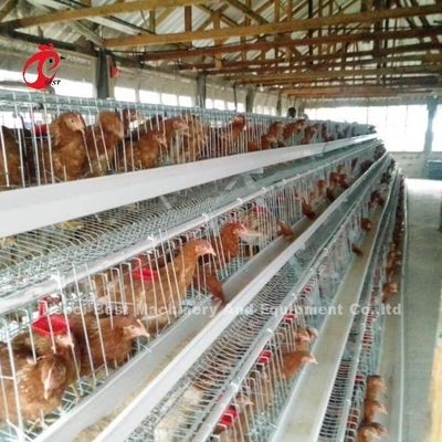 Migliore qualità un tipo uccelli Emily della gabbia 240 del pollo dell'uovo di strato della batteria della gabbia di strato
