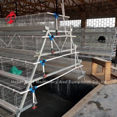 Porte della gabbia 40 di strato galvanizzate sistema dell'uovo della gabbia di avicoltura in Africa Adela
