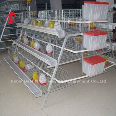gabbia del pollo della pollastra di 3 file per 1 settimana piccolo Chick Brooder Cage Doris