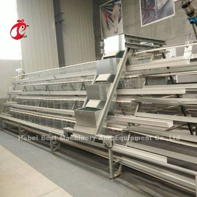 Sistema d'alimentazione 1.5KW 380V Doris del pollame dei semi della gabbia automatica di strato