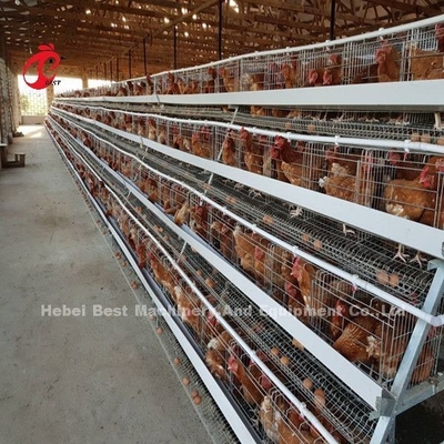 Tipo gabbia Africa Doris del sistema H della gabbia in batteria del pollame della struttura di Antivari di angolo del pollo di strato