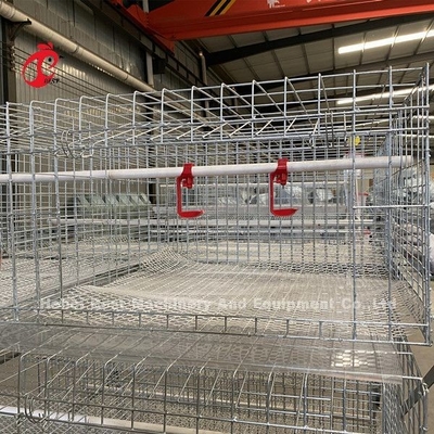 Gabbia 3 Tires, un tipo gabbia in batteria del pollo da carne dell'azienda avicola per i polli da arrosto Doris