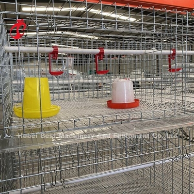 Gabbia 3 Tires, un tipo gabbia in batteria del pollo da carne dell'azienda avicola per i polli da arrosto Doris