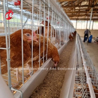 Il più bene un tipo uccelli della gabbia 500 del pollo per la gabbia del pollo di avicoltura di strati sabbiosa