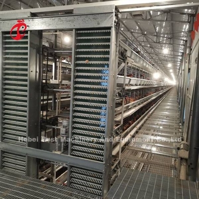 Sistema automatico di raccolta delle uova per 30.000 polli