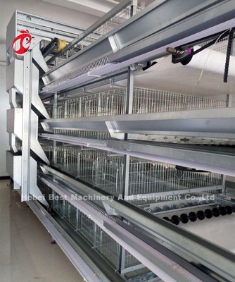 Un tipo sistema automatico di H della gabbia del pollo del selezionatore dell'attrezzatura del pollame di strato sabbioso