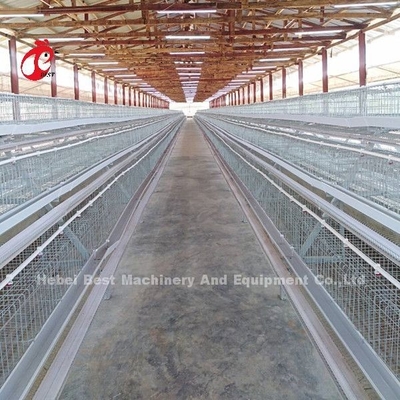 Un tipo pollo degli uccelli della gabbia in batteria 120 del pollame che pone la gabbia Africa Doris delle uova