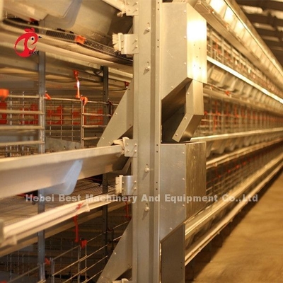 Gabbia d'acciaio Emily del pollo di strato del sistema della gabbia di strato del pollame di controllo elettrico