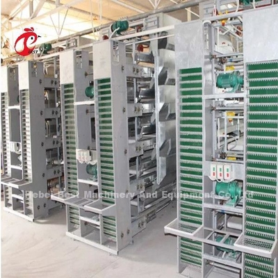 Moderno design Batteria strato gabbia tipo H gabbia di allevamento di pollame ISO14001 Emily