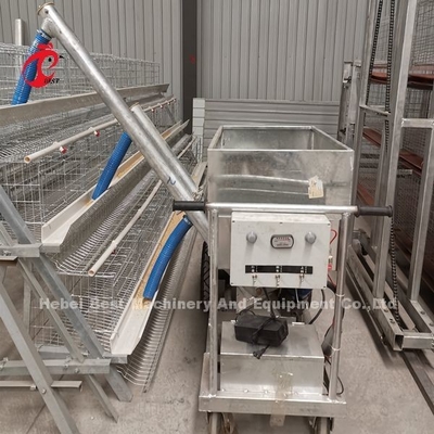 Gabbia per polli manuale del pollame dei semi di strato degli uccelli automatici della gabbia 15000 in iride della Nigeria