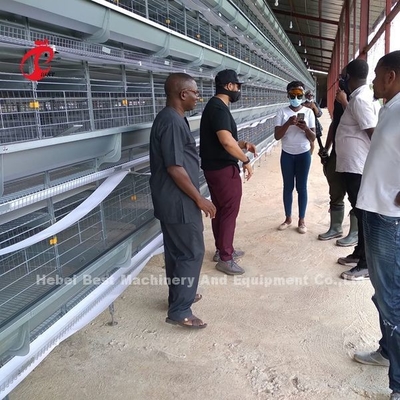 Un tipo sistema situantesi automatico di H della gabbia di avicoltura del pollo in iride del mercato dell'Africa
