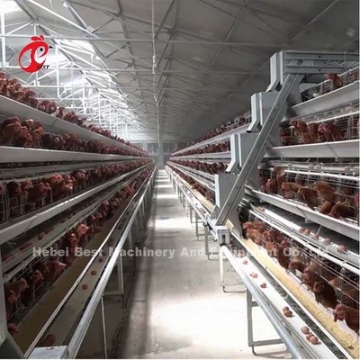 Un tipo sistema situantesi automatico di H della gabbia di avicoltura del pollo in iride del mercato dell'Africa