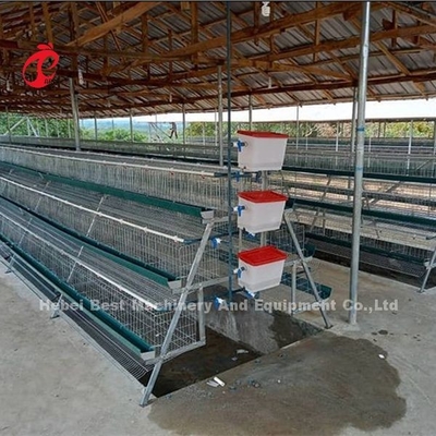 Tipo premio prezzo di H della gabbia in batteria di strato in iride stabile della Nigeria