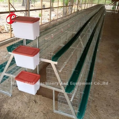 Sistema premio e di lusso del magazzino della Nigeria del pollame della gabbia in batteria per i polli di strato sabbiosi
