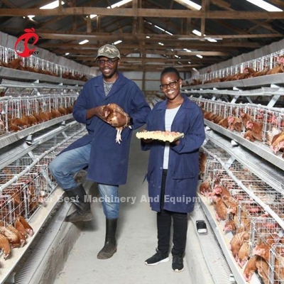 Progettazione della Camera di durezza che pone il sistema della gabbia in batteria del pollo con la gabbia Mesh Iris