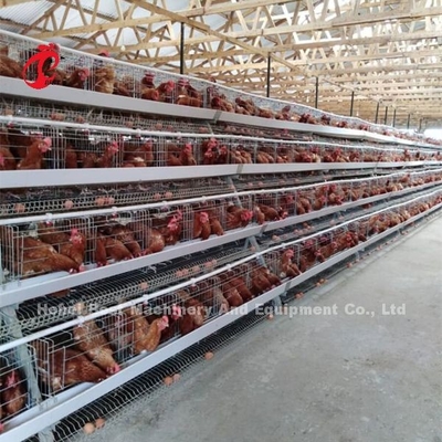 Progettazione della Camera di durezza che pone il sistema della gabbia in batteria del pollo con la gabbia Mesh Iris