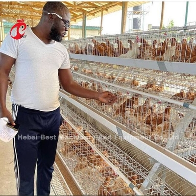 Gabbia automatica di strato della batteria, gabbia Nigeria Lagos di avicoltura sabbiosa