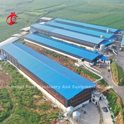 Gabbia automatica di strato della batteria, gabbia Nigeria Lagos di avicoltura sabbiosa