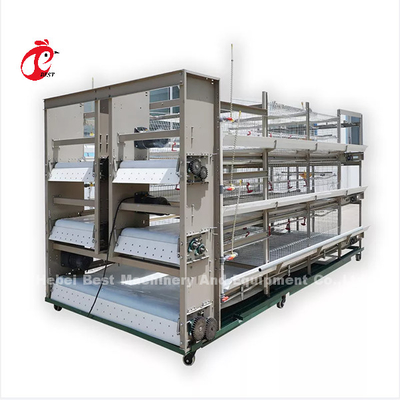 16 Settimane Pollo che depone uova A o H Cornice Cage a strato automatizzato 15000 Uccelli Emily