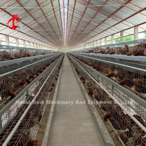 Gabbia di strato del pollame dell'Uganda 4 Tires da vendere il pollo 100 chilogrammo Mia dell'azienda agricola