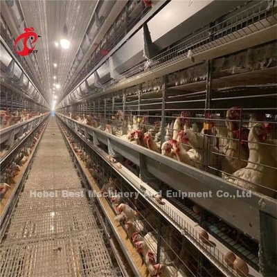 144 Uccelli Capacità Cage a strato di tipo H per la carne di pollo commerciale