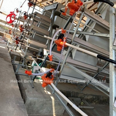 Strato galvanizzato caldo di buoni prezzi che coltiva il tipo vendita Adela del sistema A della gabbia