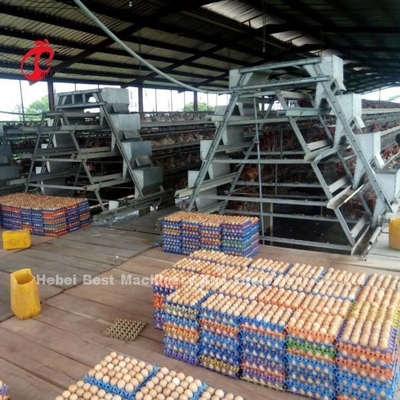 CE commerciale Adela del sistema della gabbia in batteria del pollo di strato della gabbia automatica piena del pollo