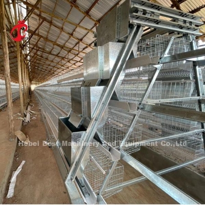 Galvanizzato allevamento di pollame Un tipo di sistema di gabbia automatica per strati In Nigeria popolare rosa