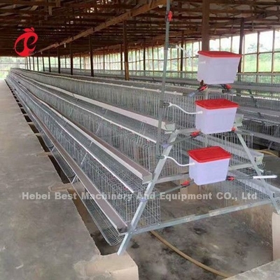 Sistema commerciale 2.0m*2.0m*1.45m della gabbia in batteria di strato del pollo in stella della Nigeria