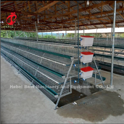 Sistema commerciale 2.0m*2.0m*1.45m della gabbia in batteria di strato del pollo in stella della Nigeria