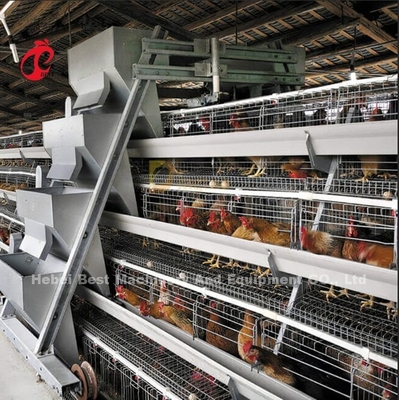 Un tipo sistema automatico della gabbia di avicoltura per la stella di strati