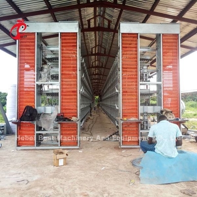 Un tipo gabbie in batteria commerciali adulte di H del pollo per la stella delle galline ovaiole