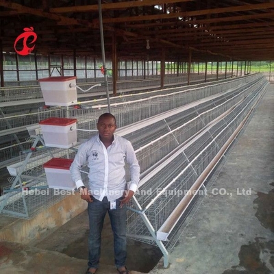 Prezzo della gabbia in batteria di strati in Nigeria una stella di 12 di settimane uccelli del pollo 128