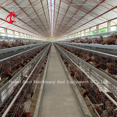 Stella automatica della Nigeria della gabbia del pollo da carne della batteria di qualità dell'esportazione della Cina
