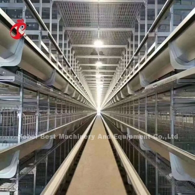 Un tipo gabbia in batteria del pollo di strato in pieno automatica per la grande azienda agricola Adela